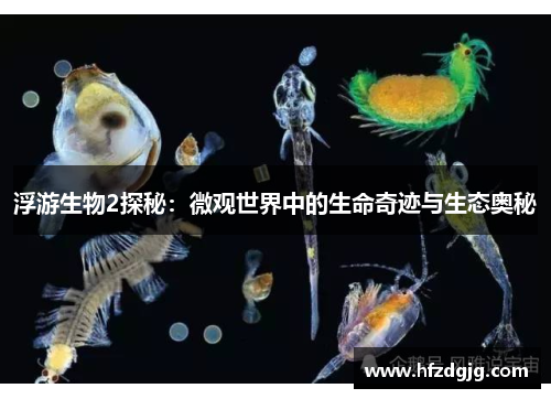 浮游生物2探秘：微观世界中的生命奇迹与生态奥秘