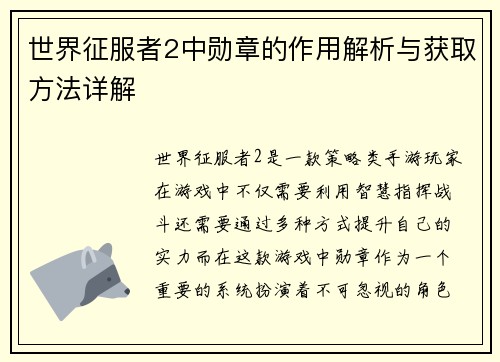 世界征服者2中勋章的作用解析与获取方法详解