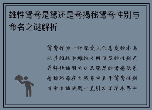 雄性鸳鸯是鸳还是鸯揭秘鸳鸯性别与命名之谜解析